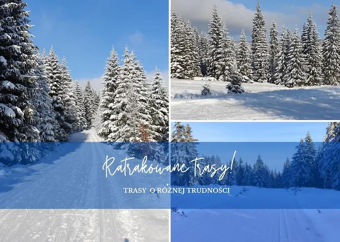 Graniczna Bombaj Jakuszyce Oda ve Kahvaltı *