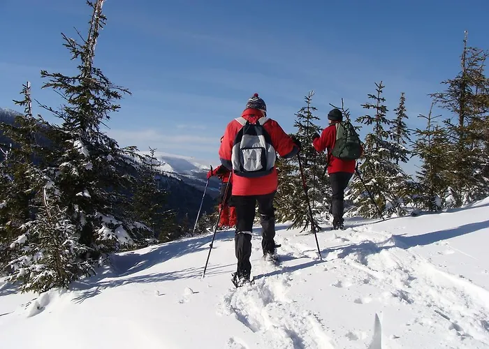 Oda ve Kahvaltı Graniczna Bombaj Jakuszyce *