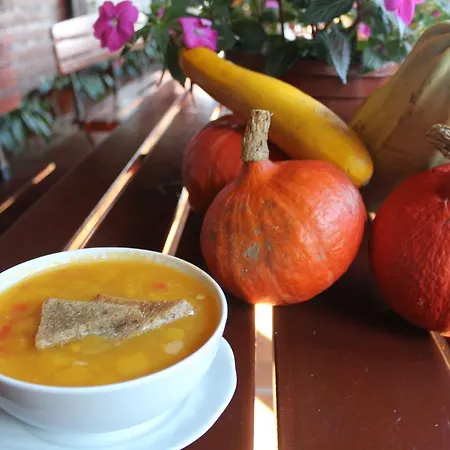 Bed & Breakfast Graniczna Bombaj Jakuszyce