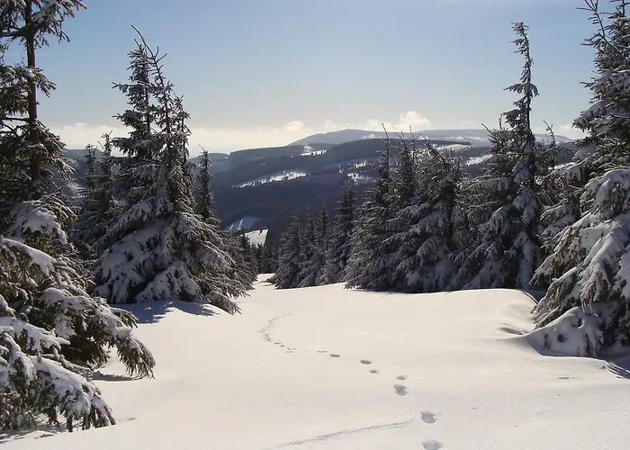 Graniczna Bombaj Nocleg ze śniadaniem